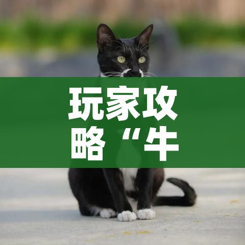 房卡必备教程“微信金花链接如何充卡怎么买”房卡使用教程 房卡必备教程“微信金花链接如何充卡怎么买”房卡使用教程