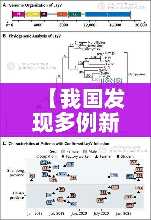 房卡全攻略“牛牛房卡从哪买”获取房卡教程-哔哩哔哩 房卡全攻略“牛牛房卡从哪买”获取房卡教程-哔哩哔哩