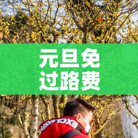 玩家必备教程“微信金花房间在哪购买”购买房卡介绍