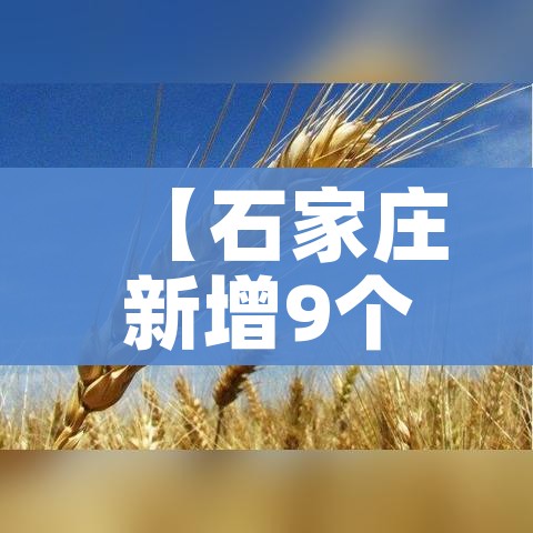 秒懂教程“随意玩大厅怎么充房卡”轻松获取房卡全渠道 秒懂教程“随意玩大厅怎么充房卡”轻松获取房卡全渠道