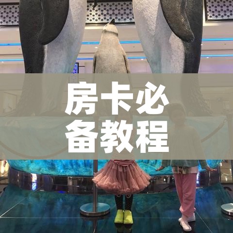 秒懂百科“微信链接牛牛房卡怎么买”详细房卡怎么购买教程 秒懂百科“微信链接牛牛房卡怎么买”详细房卡怎么购买教程