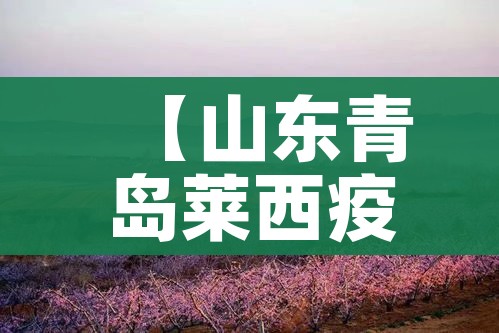 科普一下“微信炸 金花房卡充值购买”购买房卡介绍