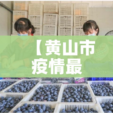 一分钟实测分享“在哪里买炸 金花房卡便宜又好玩”链接房卡在哪里获取 一分钟实测分享“在哪里买炸 金花房卡便宜又好玩”链接房卡在哪里获取