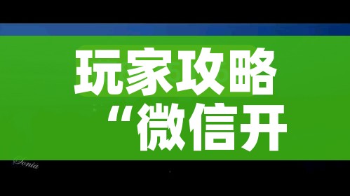 一分钟实测分享“如何在微信上买炸 金花房卡”获取房卡教程-哔哩哔哩 一分钟实测分享“如何在微信上买炸 金花房卡”获取房卡教程-哔哩哔哩