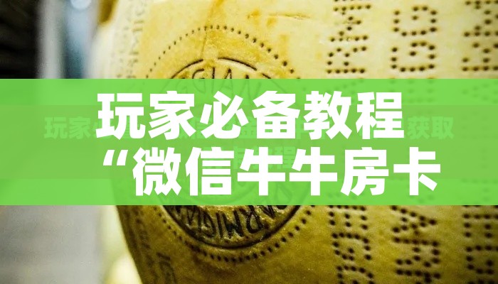 玩家必备教程“微信炸 金花房卡充值购买”房卡怎么购买 玩家必备教程“微信炸 金花房卡充值购买”房卡怎么购买