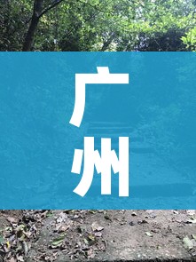 一分钟介绍使用“微信牛牛怎么创建房间”获取房卡教程-哔哩哔哩 一分钟介绍使用“微信牛牛怎么创建房间”获取房卡教程-哔哩哔哩