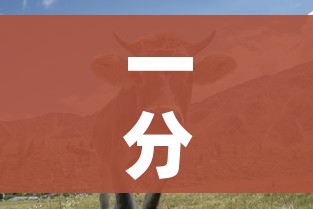 房卡必备教程“微信链接牛牛房卡怎么购买”房卡怎么购买 房卡必备教程“微信链接牛牛房卡怎么购买”房卡怎么购买