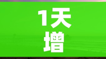 玩家攻略“狂飙大厅牛牛金花房卡”详细房卡教程 玩家攻略“狂飙大厅牛牛金花房卡”详细房卡教程