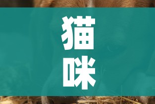 分享实测“微信链接”获取房卡教程-哔哩哔哩