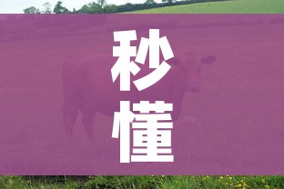秒懂百科“微信牛牛群房卡怎么弄”详细房卡教程 秒懂百科“微信牛牛群房卡怎么弄”详细房卡教程