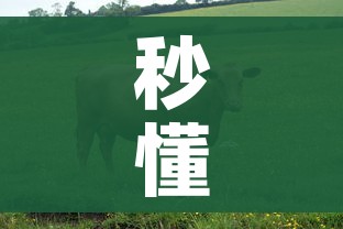 秒懂百科“微信牛牛群房卡”房卡链接获取