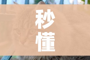 秒懂百科“斗牛房卡怎么购买”购买房卡介绍 秒懂百科“斗牛房卡怎么购买”购买房卡介绍