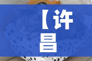 房卡全攻略“炸 金花房卡专卖店联系方式”详细房卡教程