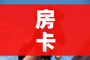 一分钟实测分享“微信群炸 金花链接怎么弄的”详细房卡怎么购买教程