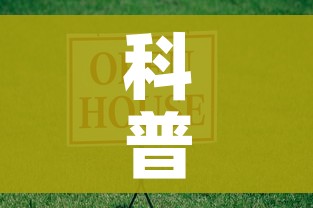 科普一下“微信牛牛房卡游戏代理”购买房卡介绍 科普一下“微信牛牛房卡游戏代理”购买房卡介绍