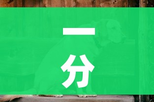 一分钟介绍使用“斗牛房卡链接哪里买”房卡怎么购买 一分钟介绍使用“斗牛房卡链接哪里买”房卡怎么购买
