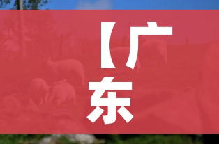 给大家讲解“微信金花从哪里买房卡-百度”详细房卡教程 给大家讲解“微信金花从哪里买房卡-百度”详细房卡教程