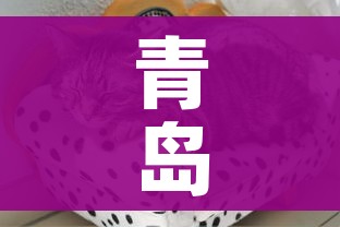 全攻略普及“微信牛牛炸 金花房卡”房卡使用教程 全攻略普及“微信牛牛炸 金花房卡”房卡使用教程