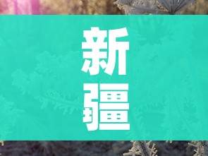 分享实测“微信炸 金花房卡链接”详细房卡教程 分享实测“微信炸 金花房卡链接”详细房卡教程