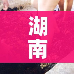 一分钟介绍使用“微信炸 金花房卡在哪充值”房卡详细充值 一分钟介绍使用“微信炸 金花房卡在哪充值”房卡详细充值