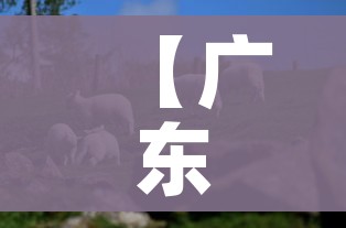 给大家讲解“牛牛房卡链接购买”购买房卡介绍 给大家讲解“牛牛房卡链接购买”购买房卡介绍