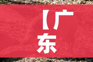 分享实测“狂飙大厅牛牛金花房卡”详细房卡怎么购买教程