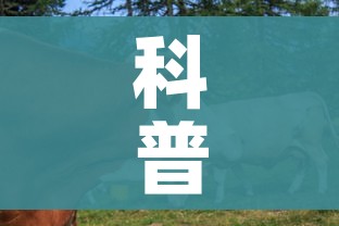科普一下“牛牛炸 金花房卡”详细房卡使用教程 科普一下“牛牛炸 金花房卡”详细房卡使用教程