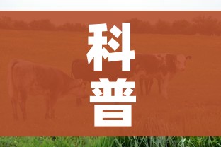 科普一下“微信牛牛群房卡怎么弄”房卡怎么购买 科普一下“微信牛牛群房卡怎么弄”房卡怎么购买
