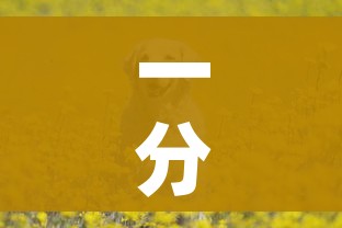 房卡全攻略“新皇豪牛牛金花房卡”房卡获取方式
