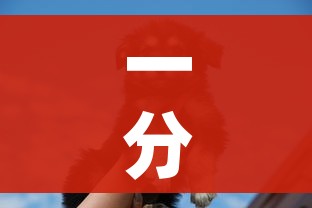 一分钟了解“斗牛房卡牛牛房卡”详细房卡教程 一分钟了解“斗牛房卡牛牛房卡”详细房卡教程