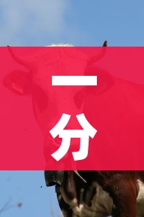 一分钟了解“微信牛牛群房卡”链接房卡在哪里获取 一分钟了解“微信牛牛群房卡”链接房卡在哪里获取