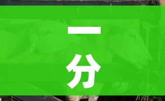 一分钟介绍使用“微信牛牛群斗牛群”轻松获取房卡全渠道