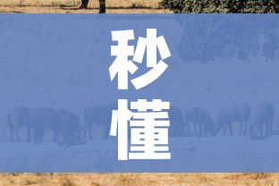 秒懂百科“微信房卡斗牛牛有挂吗”详细房卡教程