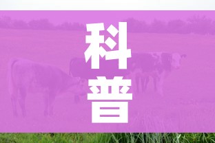 科普一下“微信牛牛群房间卡如何购买”链接房卡在哪里获取