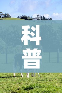 科普一下“微信牛牛群斗牛群”房卡使用教程