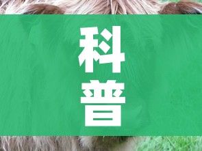 科普一下“微信牛牛群斗牛群”房卡使用教程