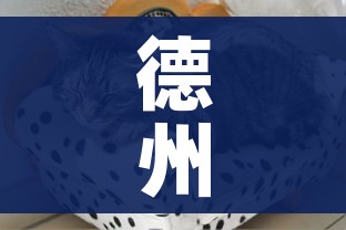 给大家讲解“微信牛牛怎么创建房间”购买房卡介绍