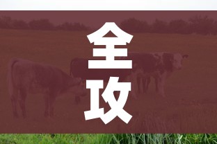 全攻略普及“微信牛牛群房卡”房卡详细充值 全攻略普及“微信牛牛群房卡”房卡详细充值