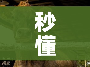 秒懂教程“微信牛牛群斗牛群”房卡怎么购买