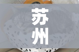 玩家攻略“微信牛牛游戏房卡”详细房卡教程 玩家攻略“微信牛牛游戏房卡”详细房卡教程