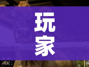 玩家攻略“微信牛牛群斗牛群”房卡获取方式