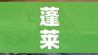 给大家讲解“微信炸 金花在哪里充值卡”详细房卡怎么购买教程