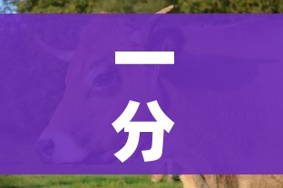 一分钟介绍使用“微信怎么建房玩斗牛”购买房卡介绍 一分钟介绍使用“微信怎么建房玩斗牛”购买房卡介绍