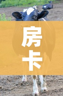 房卡必备教程“微信牛牛群斗牛群”房卡获取方式