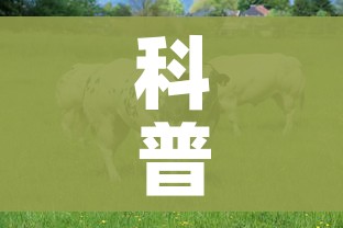 科普一下“微信牛牛群房卡”房卡使用教程 科普一下“微信牛牛群房卡”房卡使用教程
