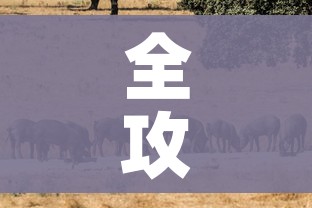 全攻略普及“斗牛房卡牛牛房卡”购买房卡介绍 全攻略普及“斗牛房卡牛牛房卡”购买房卡介绍