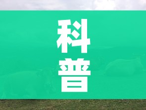 科普一下“微信怎么建房玩斗牛牛啊”详细房卡教程