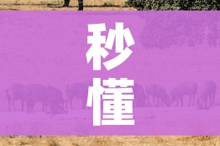 秒懂百科“斗牛房卡牛牛房卡”详细房卡使用教程 秒懂百科“斗牛房卡牛牛房卡”详细房卡使用教程