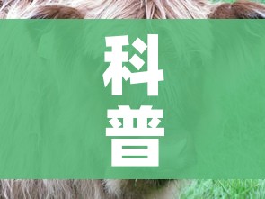 科普一下“微信牛牛群斗牛群”详细房卡教程 科普一下“微信牛牛群斗牛群”详细房卡教程