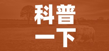 科普一下“微信牛牛群斗牛群”详细房卡教程 科普一下“微信牛牛群斗牛群”详细房卡教程